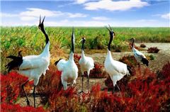 Рядом с отелем