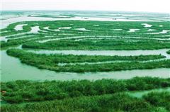 Рядом с отелем