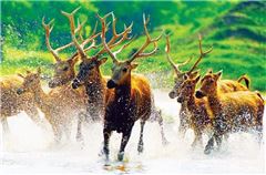 Рядом с отелем