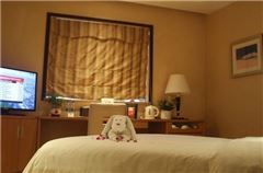 Business Superior Room