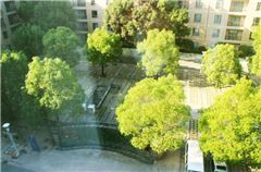 Hotel landscape