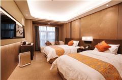 Executive Twin Room