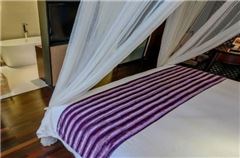 Executive Suite Room