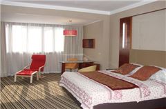 Executive Queen Room