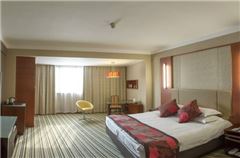 Business Queen Room