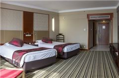 Business Twin Room