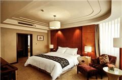 Executive Business Suite