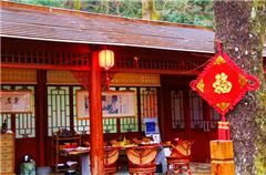 Famous Spring Room