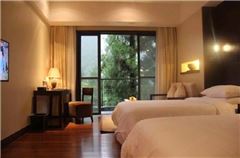 Special Promotion Room