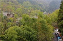 Hotel landscape