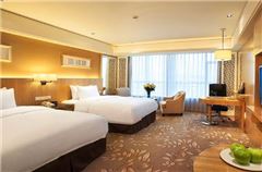 Business Twin Room