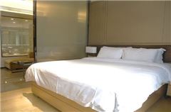 Business Queen Apartment