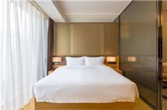Business Queen Apartment