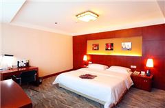 Business Standard Suite
