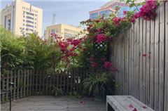 Garden Queen Room