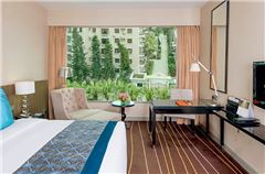 Deluxe Cityview King Room