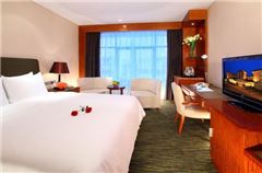 Superior Queen Room