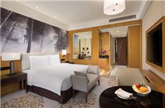 Garden-view Executive Room