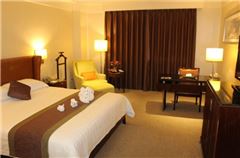 Deluxe Business Queen Room