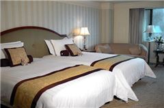 Executive Twin Room