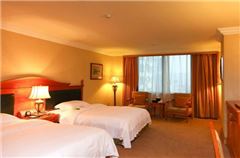 Executive Twin Room