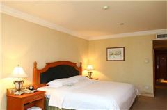Executive Queen Room