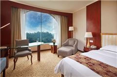 Executive Deluxe Queen Room