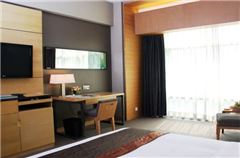 Executive Superior Room