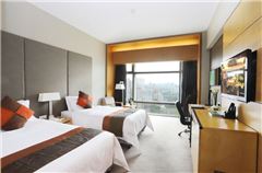 Executive Twin Room