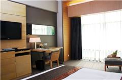 Executive Superior Queen Room