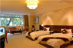 Executive Twin Room