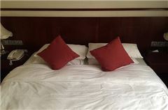 Business Suite