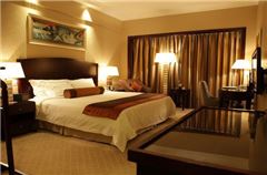 Standard Queen Room