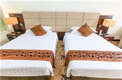 Deluxe Business Room