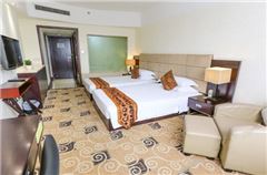 Deluxe Business Room