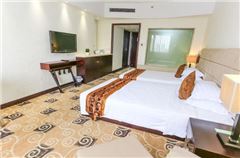 Deluxe Business Room