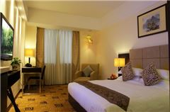Deluxe Business Queen Room