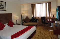 Deluxe Business Queen Room