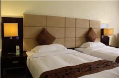 Deluxe Business Twin Room