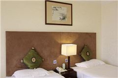 Business Twin Room