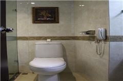Deluxe Business Twin Room