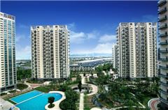 Business Garden-view Suite