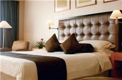 VIP Queen Room