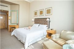 VIP Queen Room