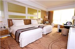 Executive Twin Room