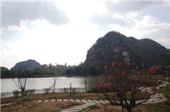 Surroundings
