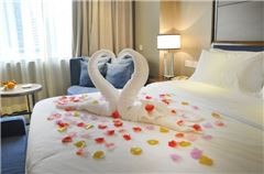 Executive Queen Room