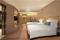 Classical Mountain-view Twin Room