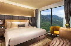 Deluxe Mountain-view Queen Room