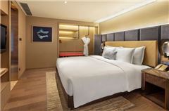 Bay Suite